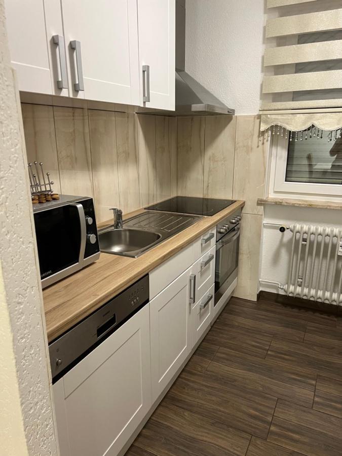 O&V Apartment Waldshut-Tiengen Eksteriør billede