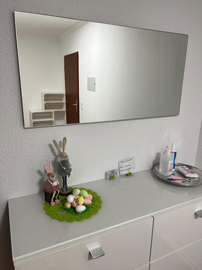 O&V Apartment Waldshut-Tiengen Eksteriør billede
